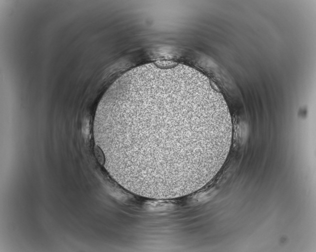 X0000099320331200805231430