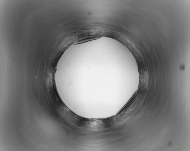 X0000099320333200805231430