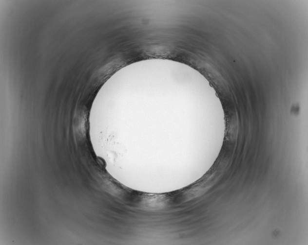 X0000099320334200805231430