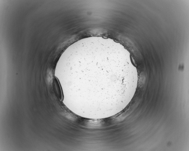 X0000099320335200805231430