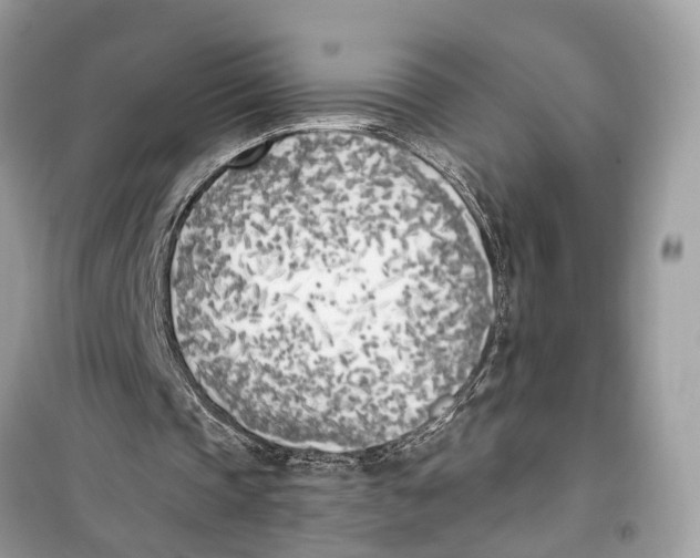 X0000099320337200805231430