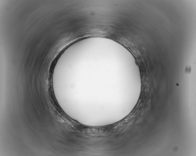 X0000099320338200805231430