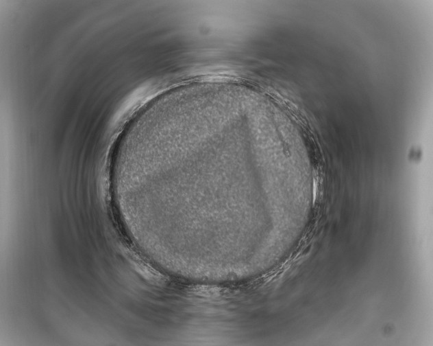 X0000099320339200805231430