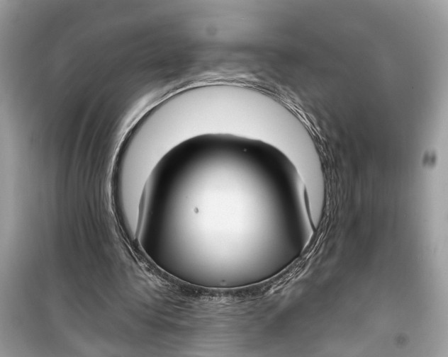 X0000099320340200805231430