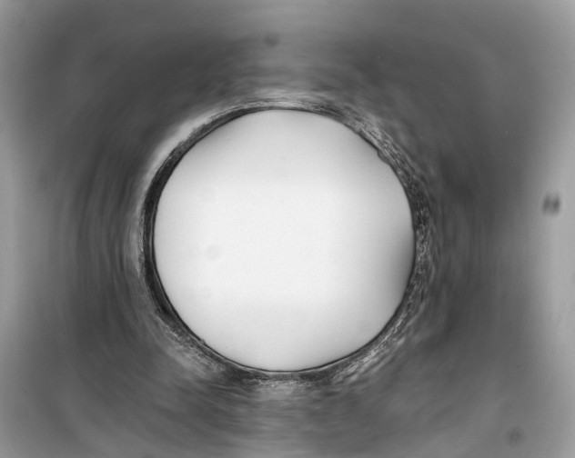 X0000099320342200805231430