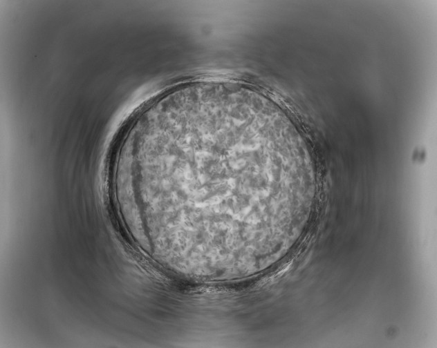 X0000099320343200805231430