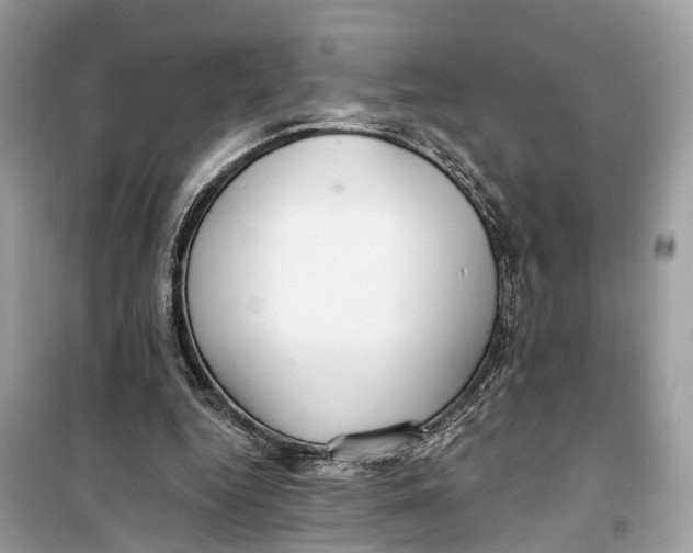 X0000099320344200805231430