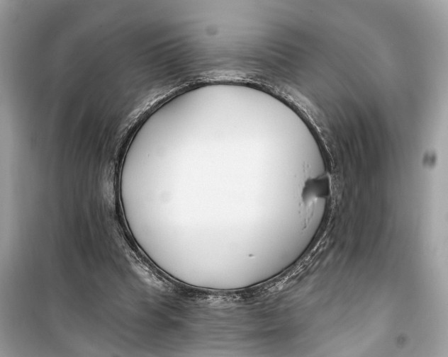 X0000099320345200805231430