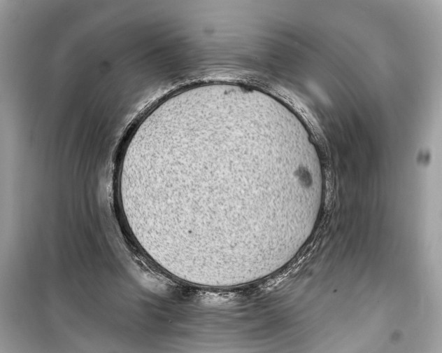 X0000099320346200805231430