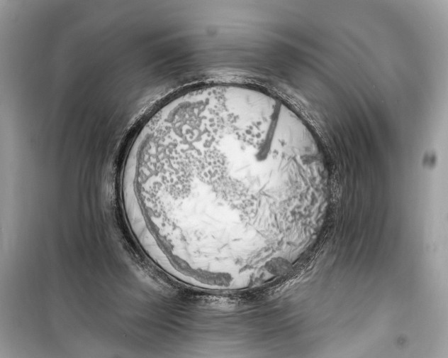 X0000099320347200805231430