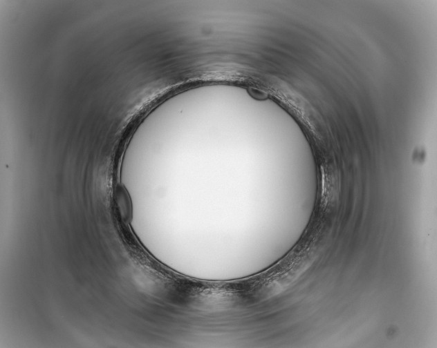 X0000099320348200805231430