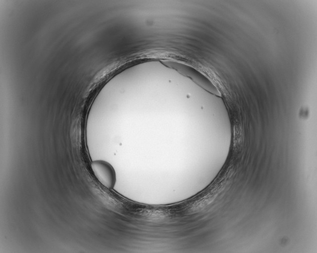 X0000099320349200805231430