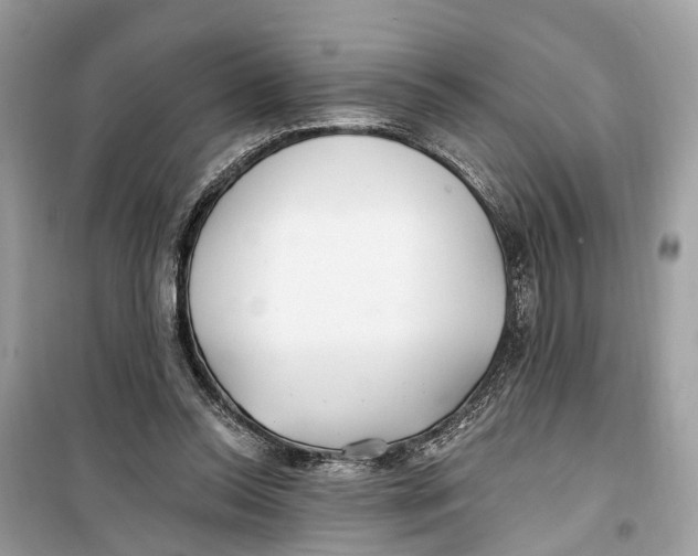 X0000099320350200805231430