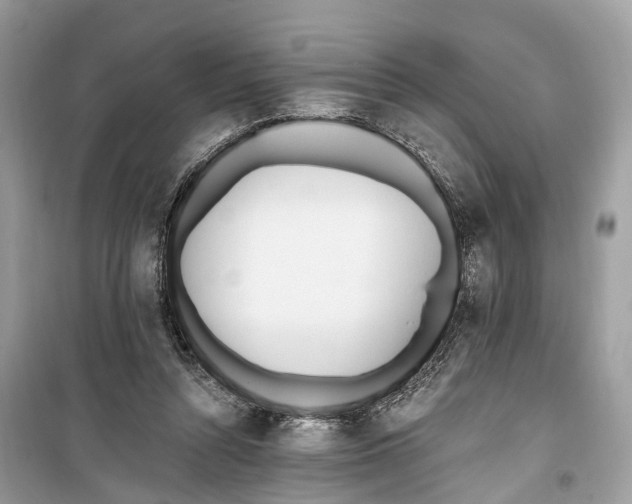 X0000099320352200805231430