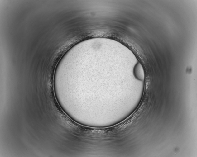 X0000099320353200805231430