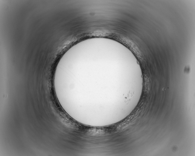 X0000099320354200805231430