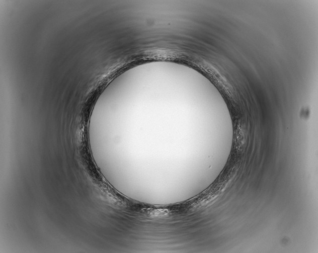 X0000099320355200805231430