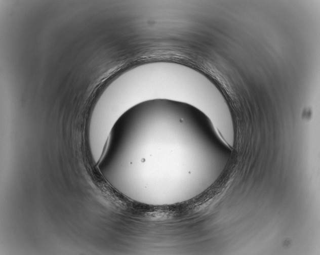 X0000099320356200805231430