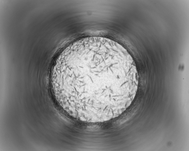 X0000099320357200805231430