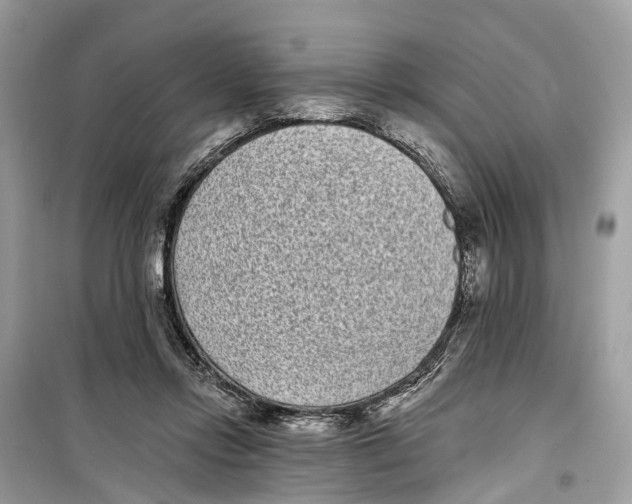 X0000099320358200805231430