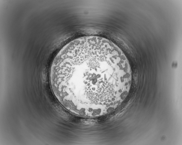 X0000099320359200805231430