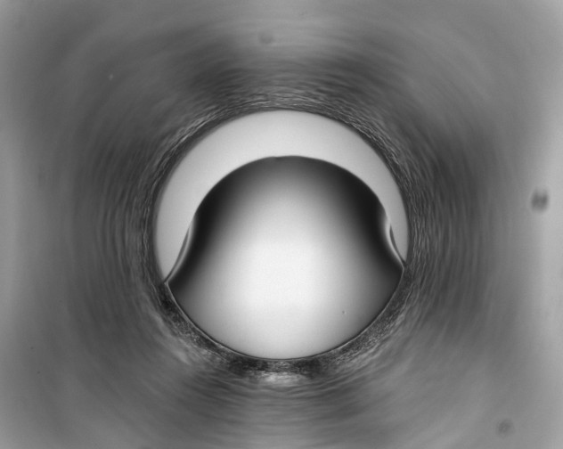 X0000099320360200805231430