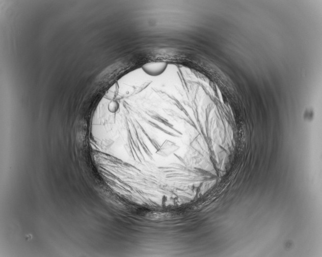 X0000099320361200805231430