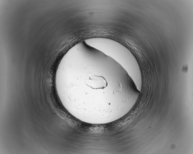 X0000099320362200805231430