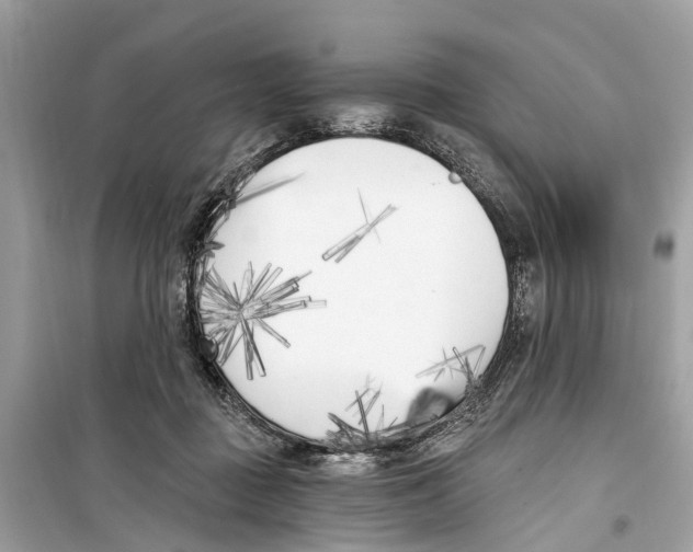 X0000099320363200805231430