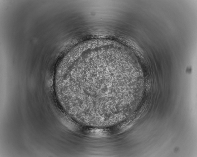 X0000099320365200805231430