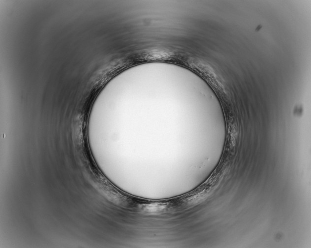 X0000099320366200805231430