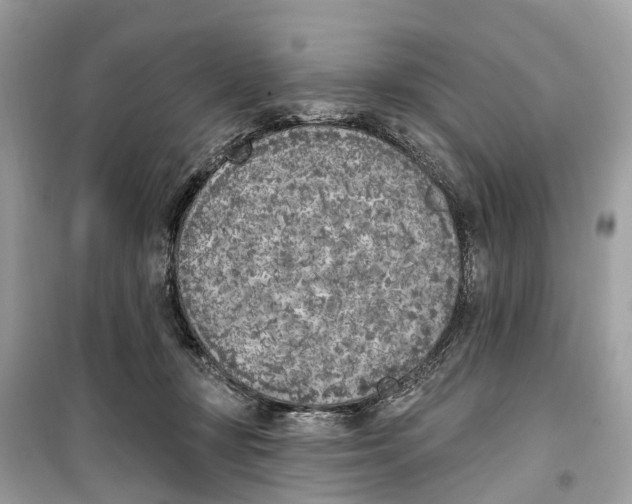 X0000099320367200805231430