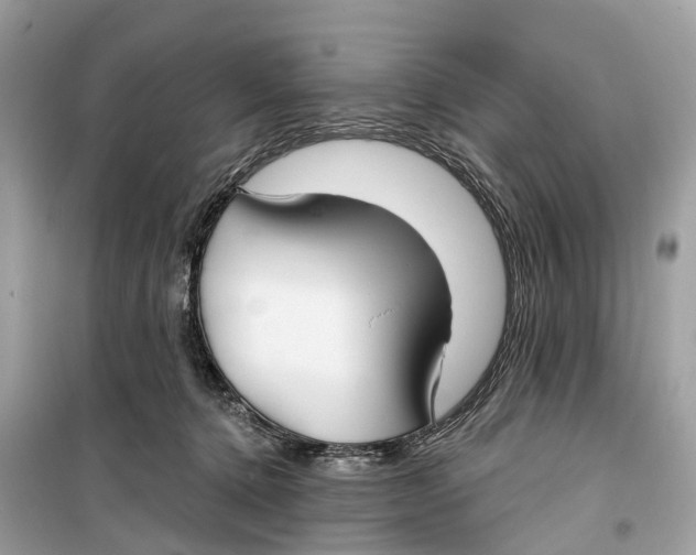 X0000099320368200805231430