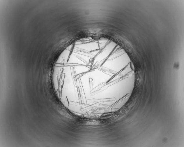 X0000099320369200805231430