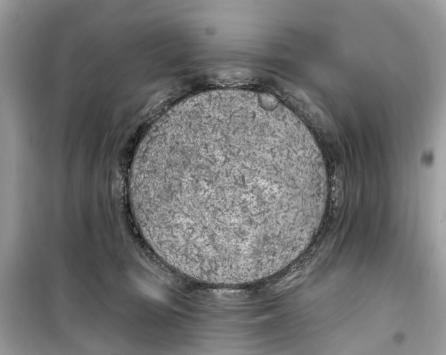 X0000099320371200805231430