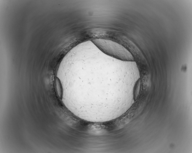 X0000099320372200805231430