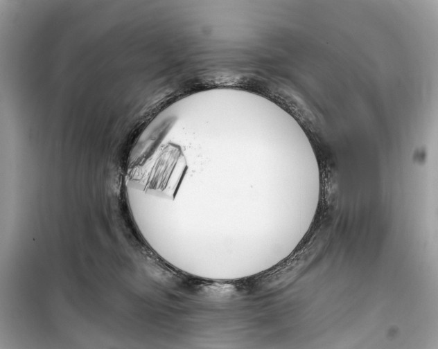 X0000099320374200805231430