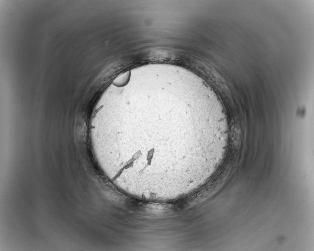 X0000099320375200805231430