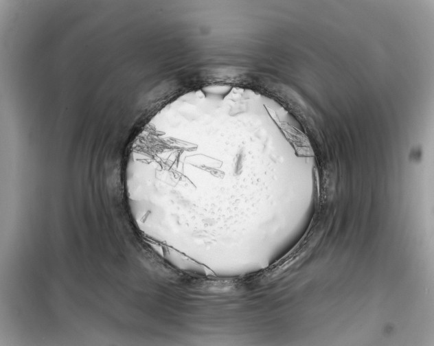 X0000099320377200805231430