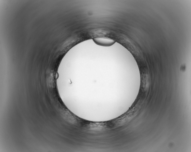 X0000099320378200805231430