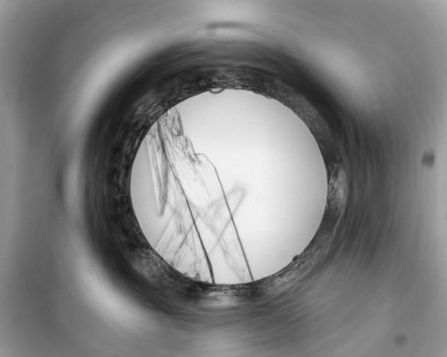 X0000099320381200805231430