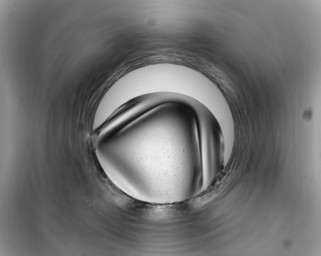 X0000099320382200805231430