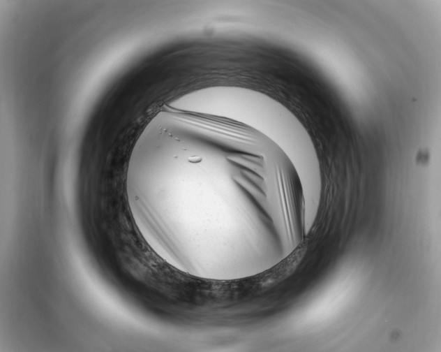 X0000099320383200805231430