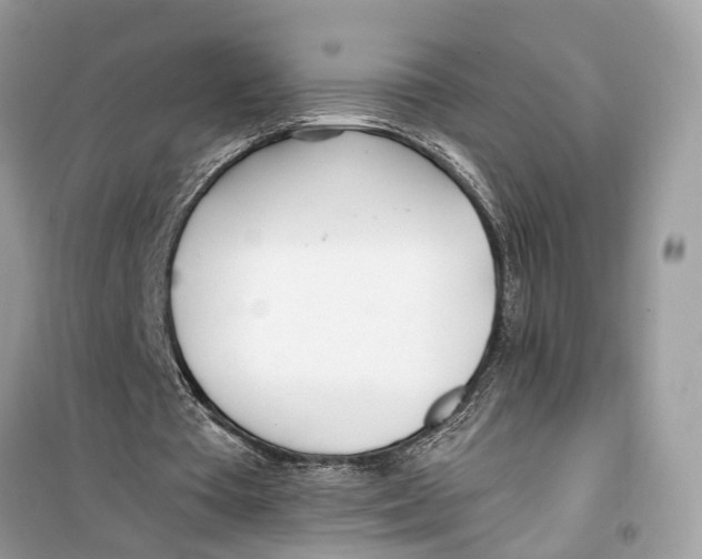 X0000099320385200805231430