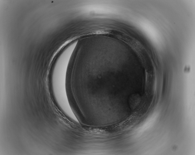 X0000099320387200805231429