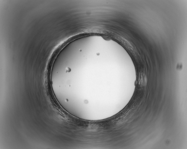 X0000099320388200805231429