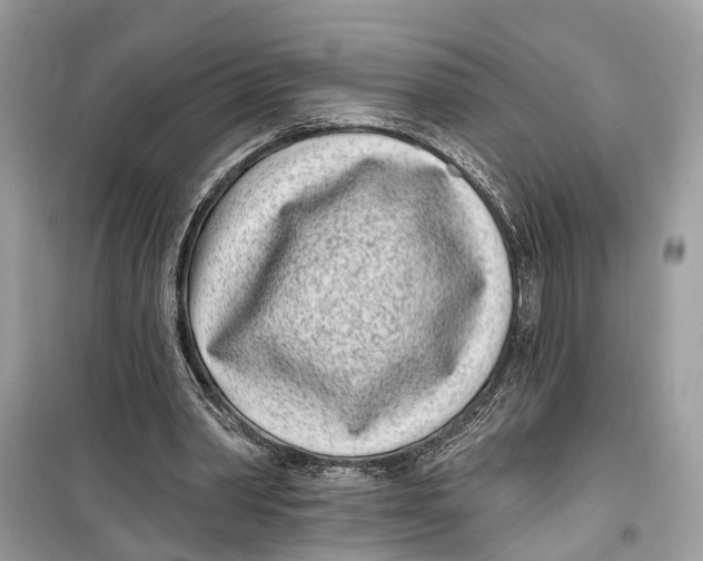 X0000099320390200805231429