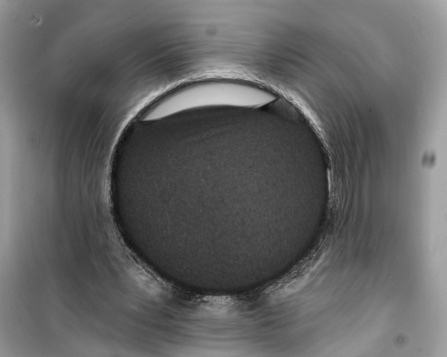 X0000099320391200805231429