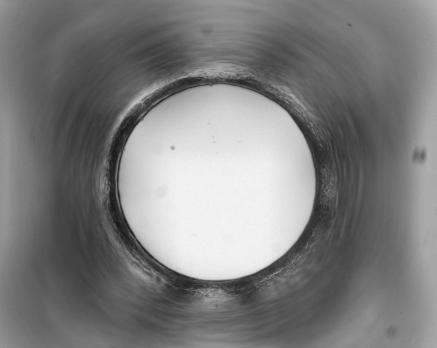 X0000099320392200805231429