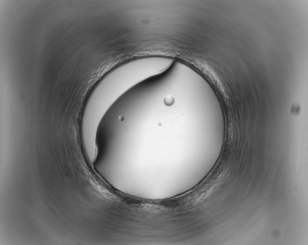 X0000099320393200805231429